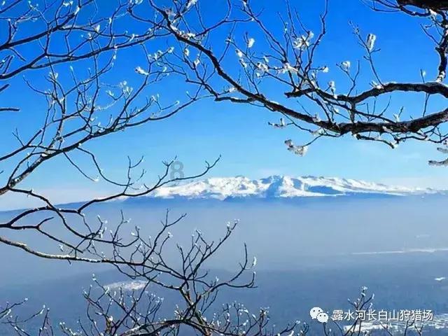 警惕!橙汁购物商城免单是套路,上千名受害者被骗,陷阱让人防不胜防